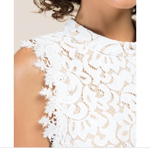 NWT Francesca’s Della Hi-neck Lace Shift Dress - Picture 2 of 7